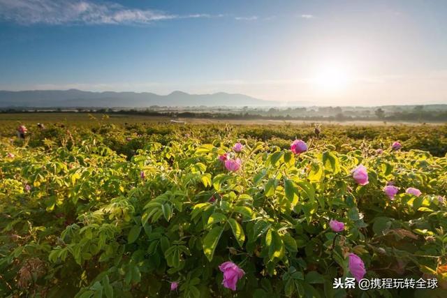 噓！令老板聞風(fēng)喪膽的2019拼假攻略來了！（2021年超強(qiáng)拼假攻略來了）