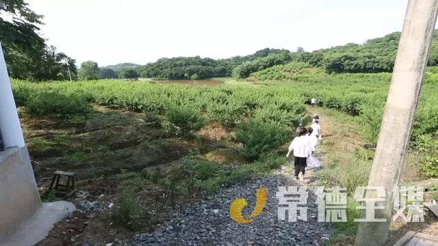 桃源：90后小伙擔任黨建聯(lián)絡員，還建立了“田野工作室”（2021桃源黨建聯(lián)絡員）