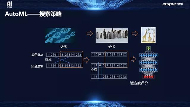 博士說(shuō) - 一萬(wàn)字入門煉“數(shù)”成金的AutoML