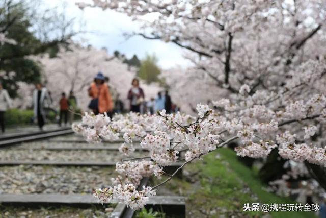 噓！令老板聞風(fēng)喪膽的2019拼假攻略來了！（2021年超強(qiáng)拼假攻略來了）