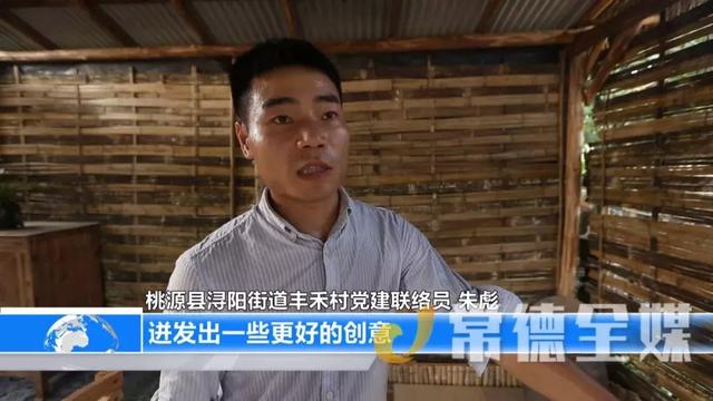 桃源：90后小伙擔任黨建聯(lián)絡員，還建立了“田野工作室”（2021桃源黨建聯(lián)絡員）