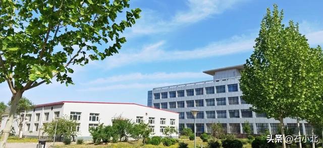 石家莊北方科技中等專業(yè)學校，2023年電子商務專業(yè)都能做什么-（石家莊北方科技職業(yè)中專學校）