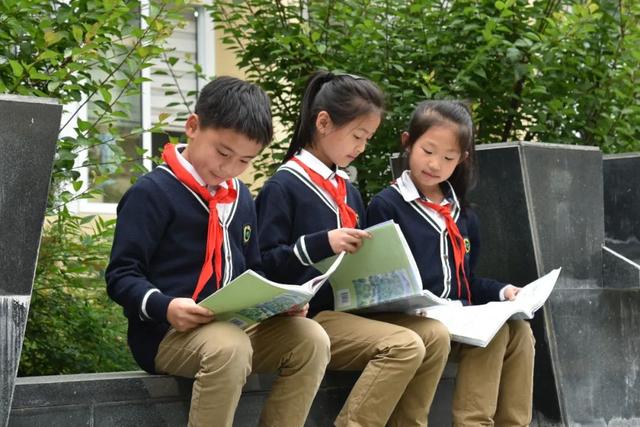 300多個低代碼應(yīng)用，撐起一座海邊縣城的數(shù)字化小學(xué)（低代碼應(yīng)用平臺）