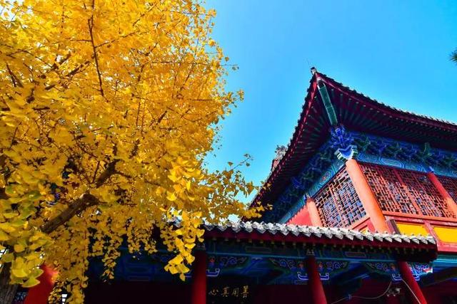 你好！我叫邢臺(tái)，這是我的最新名片