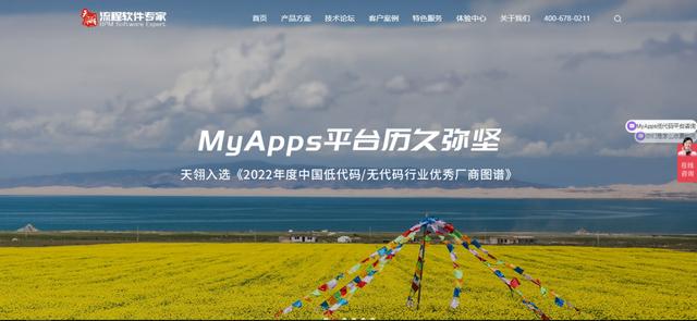 盤點(diǎn)國產(chǎn)低代碼平臺(tái)（低代碼平臺(tái)比較）