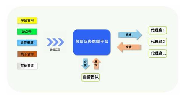 國內(nèi)低代碼產(chǎn)品是如何定位的？這3類，企業(yè)可自行對(duì)號(hào)入座（國內(nèi)低代碼平臺(tái)有哪些）
